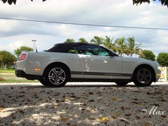 Ford Mustang in Miami