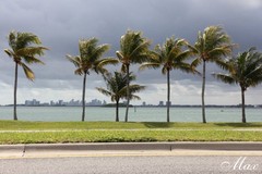 Miami