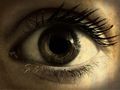 eye