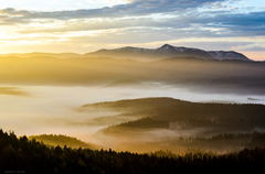 Súľovské pohľady V