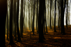 Hradiskom belušským