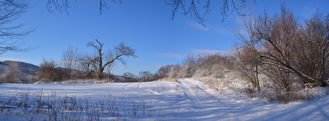 Bukovina január 2013