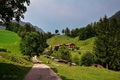 Alpská cesta