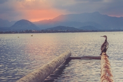 Mallorca
