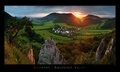 Jarne bosmany