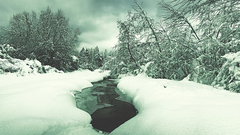 ...winter