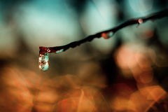 ...drop