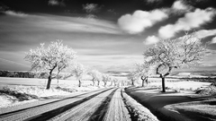 winter...