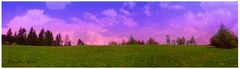 Fialková panorama