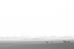 len tak cestou z roboty ...