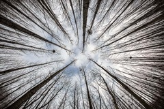 len tak si lezim .....