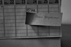 Please forgive me