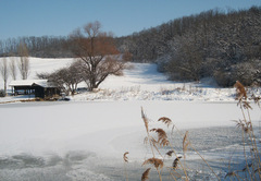 zima pri rybníku
