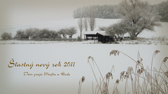 PF 2011