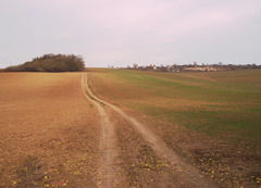 ...cestičkou...