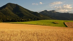 Demänová