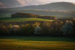 Prebúdzanie