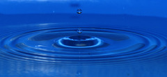 ..drops