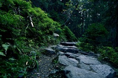 ..po zelenej značke