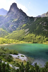 Green World..