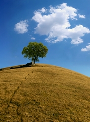 posledný