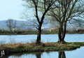 Ostrov.