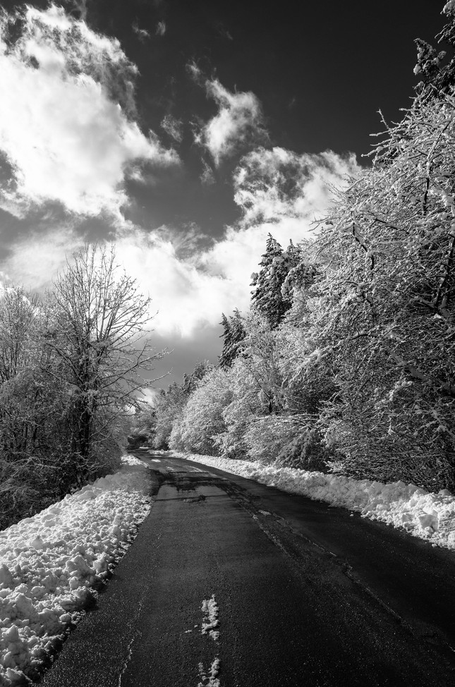 Snežná cesta
