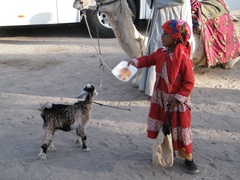 Dievčatko v červenom