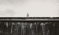 Freedom.