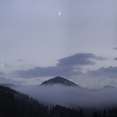 Moon Above