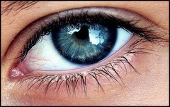 world in eye