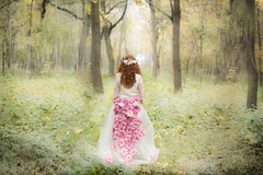 v rozprávkovom lese