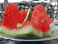 003 Watermelon
