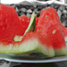 003 Watermelon