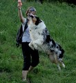 Dogtraining