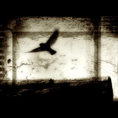 Dream on!