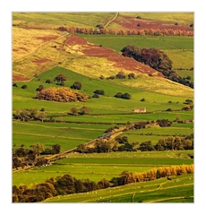 The English countryside ...IV