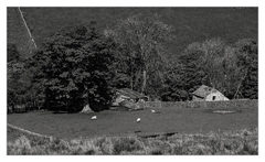 The English countryside ....