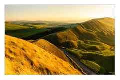 V zlatistozelenom objati ...