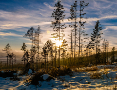 Pred obrannou líniou ...