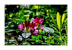 Slnkom vyhrievaná ...