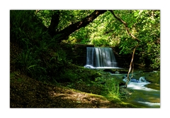 Pri starom mlyne ... II