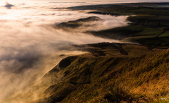 na zelenom pobreží ...