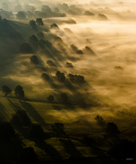 svetelne linie ... VII