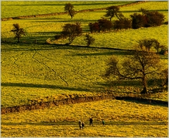 Rodinná prechádzka ...