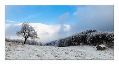 Keď chýba svetlo ... II