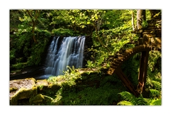 Pri starom mlyne ...