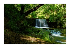 Pri starom mlyne ... IV