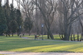 Park
