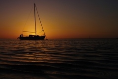 Na západe nič nové ...